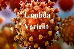 با خطرات باورنکردنی ویروس لامبدا آشنا شوید