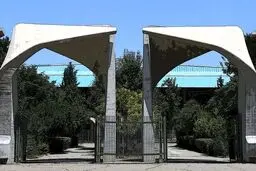 دولت: برخی رشته‌های دانشگاهی منحل می‌شوند