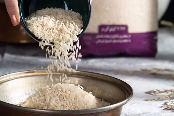 قیمت جدید برنج ایرانی امروز ۲۲ آذر ۱۴۰۴ | کیسه ۱۰ کیلویی برنج ایرانی چند ؟ + جدول