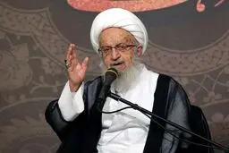 آیت‌الله مکارم: نارضایتی مردم از گرانی‌ها نباید شکوه عزاداری‌ محرم را کم کند