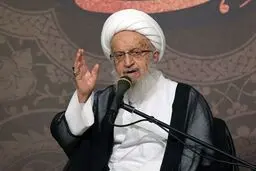 آیت‌الله مکارم: نارضایتی مردم از گرانی‌ها نباید شکوه عزاداری‌ محرم را کم کند