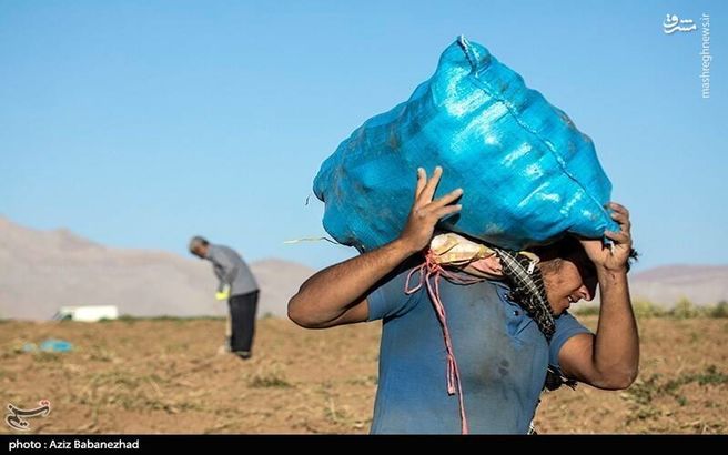 چرا دشمن برای منافع خود کارگران را سپر قرار می دهد