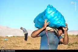 بیکاری، ارمغان هوش مصنوعی برای کشورهای جهان