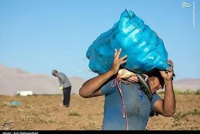 روز کارگر