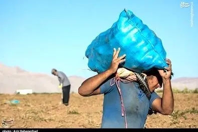 روز کارگر