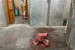 پیش بینی عجیب:عملیات تروریستی در ایران ادامه خواهد داشت 