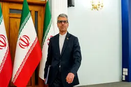 بقائی: گفت‌وگوهای رم در فضایی سازنده برگزار شد