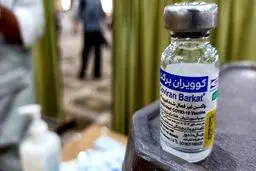 این 5 کشور از ایران واکسن برکت می خرند | آمار کرونا امروز 20 مهر