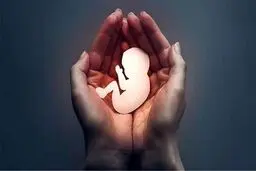 ادعای عجیب مسئول وزارت بهداشت درباره سقط جنین؛ ۱۰۰۰ سقط در روز؟
