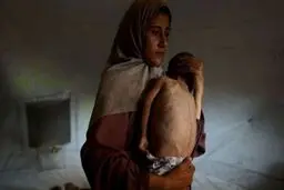 اعتراف تلخ سازمان ملل: قحطی در غزه عامدانه است