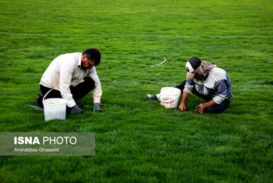 استادیوم آزادی
