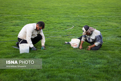 استادیوم آزادی