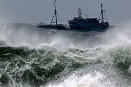 اتفاق هولناک یک کشتی مسافربری و وحشت مسافرین