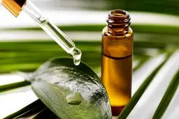 روغن درخت چای چیست و چه کاربردی دارد؟