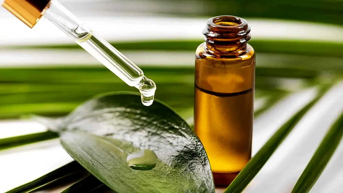 روغن درخت چای چیست و چه کاربردی دارد؟