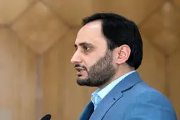 سخنگوی دولت: ارز ترجیحی حذف نشده و در حال تخصیص است