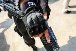 اعلام وصول لایحه اصلاح قانون بکارگیری سلاح طبق اصل ۸۵ قانون اساسی