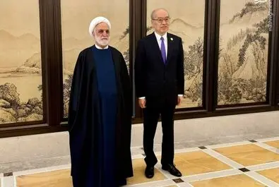 محسنی اژه‌ای