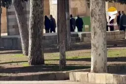  تعرض شهرک‌نشینان صهیونیست به مسجدالاقصی