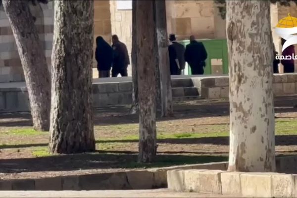  تعرض شهرک‌نشینان صهیونیست به مسجدالاقصی