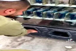 دزدی در دی ان ای یک سرباز صهیونیست