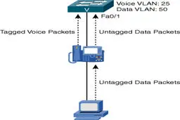 مدیریت ترافیک Voice VLAN و Data VLAN در سوئیچ‌های Catalyst
