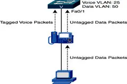 مدیریت ترافیک Voice VLAN و Data VLAN در سوئیچ‌های Catalyst