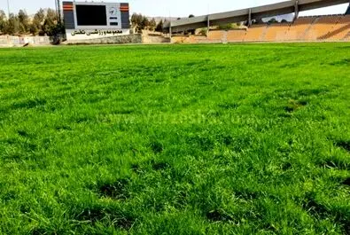 ورزشگاه تختی