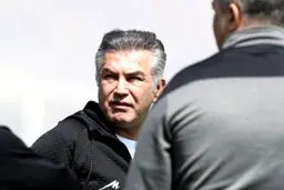 حمید استیلی مامور جذب مربی برای پرسپولیس!