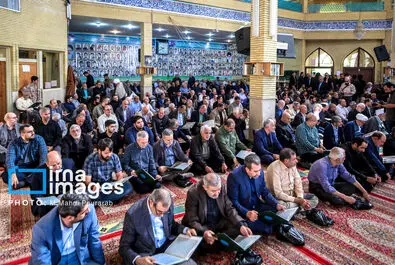 علیرضا افشار