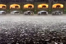نجات کبوترهای حرم امام رضا (ع) توسط مردم زیر تگرگ