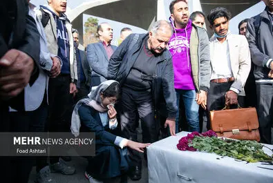 محمد علی اسلامی ندوشن