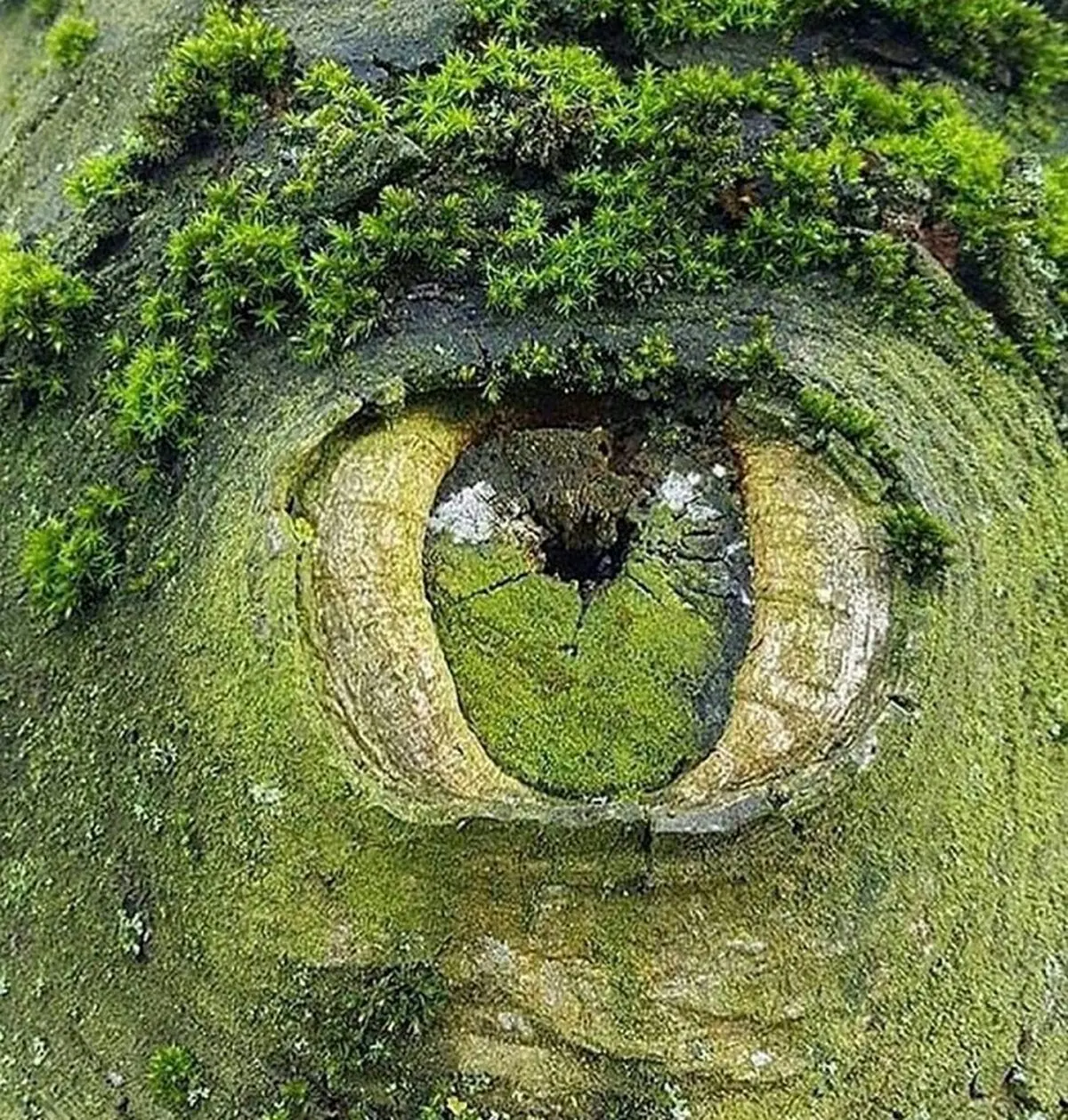 چشم زمین/عکس