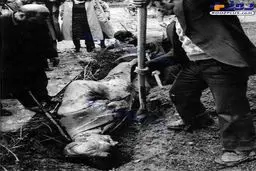 تصويری از دفن مجسمه محمدرضا پهلوی توسط انقلابيون