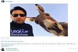 سلفی امیرحسین آرمان با یک الاغ/عکس