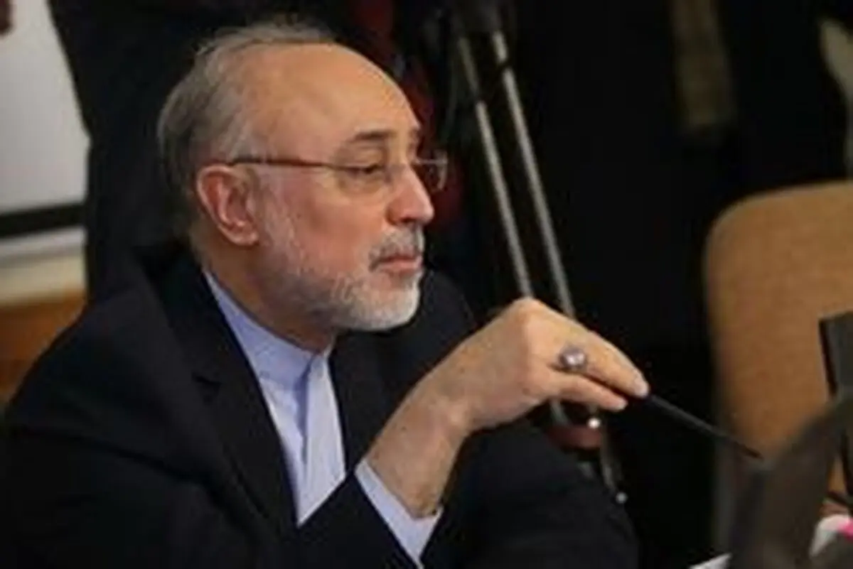 گلایه صالحی از عدم پایبندی اروپا به تعهدات خود/ ادامه شرایط موجود به نفع برجام نیست