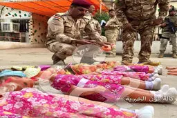 زائران کربلا مراقب این عروسک باشند /عکس