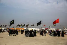 از نجف تا کربلا با پای پیاده /تصاویر