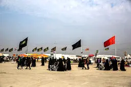 از نجف تا کربلا با پای پیاده /تصاویر