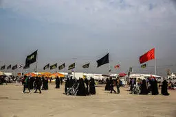 از نجف تا کربلا با پای پیاده /تصاویر