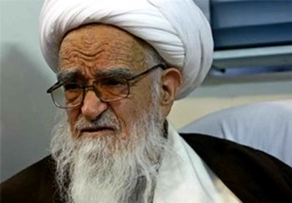 هشدار آیت‌الله صافی گلپایگانی به دولت هند! + جزئیات