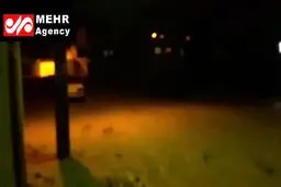 ببینید : کوی شهرداری پلدختر زیر آب رفت/ مردم منازل خود را ترک کردند