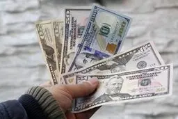 دلار کی ارزان می شود؟ + این شرایط را بخوانید