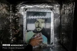 تصاویر/ به یاد شهدا