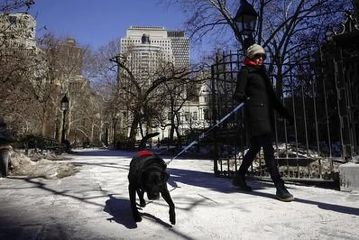 سرما و یخبندان در آمریکا / تصاویر