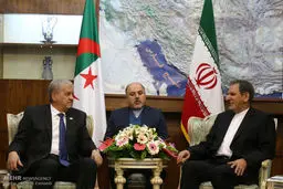 دیدار نخست وزیر الجزایر با معاون اول رئیس‌جمهور/تصاویر