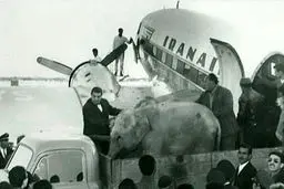 سوار کردن فیل به هواپیمای ایرانی در سال 1339/عکس