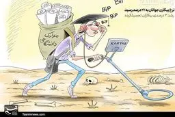 کاردانم ولی بی‌کارم!/ کاریکاتور