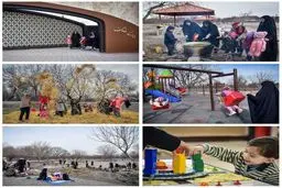 بازی و آموزش در طبیعت/ عکس