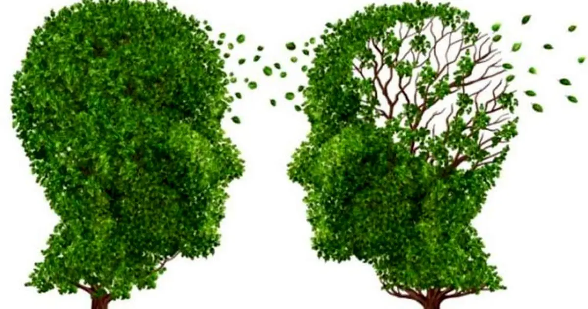 یک تست هوش ساده برای تشخیص زودهنگام آلزایمر